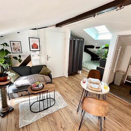 Loft Hortensia Climatise Hyper Centre Castres Castres (Tarn) Exterior photo