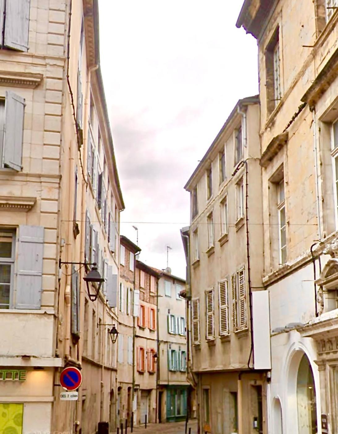 Loft Hortensia Hyper Centre Castres Castres  Exterior photo