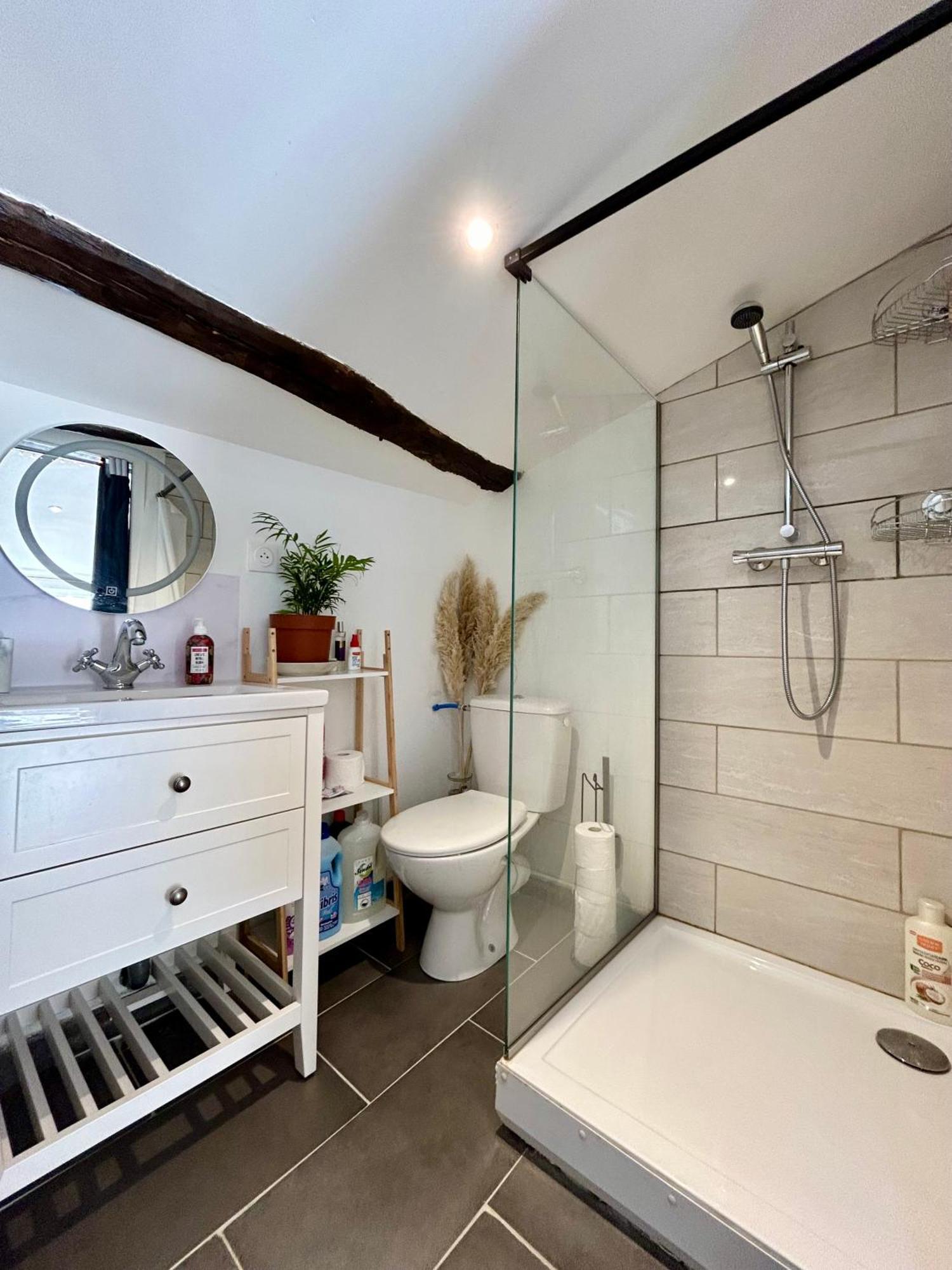 Loft Hortensia Climatise Hyper Centre Castres Castres (Tarn) Exterior photo