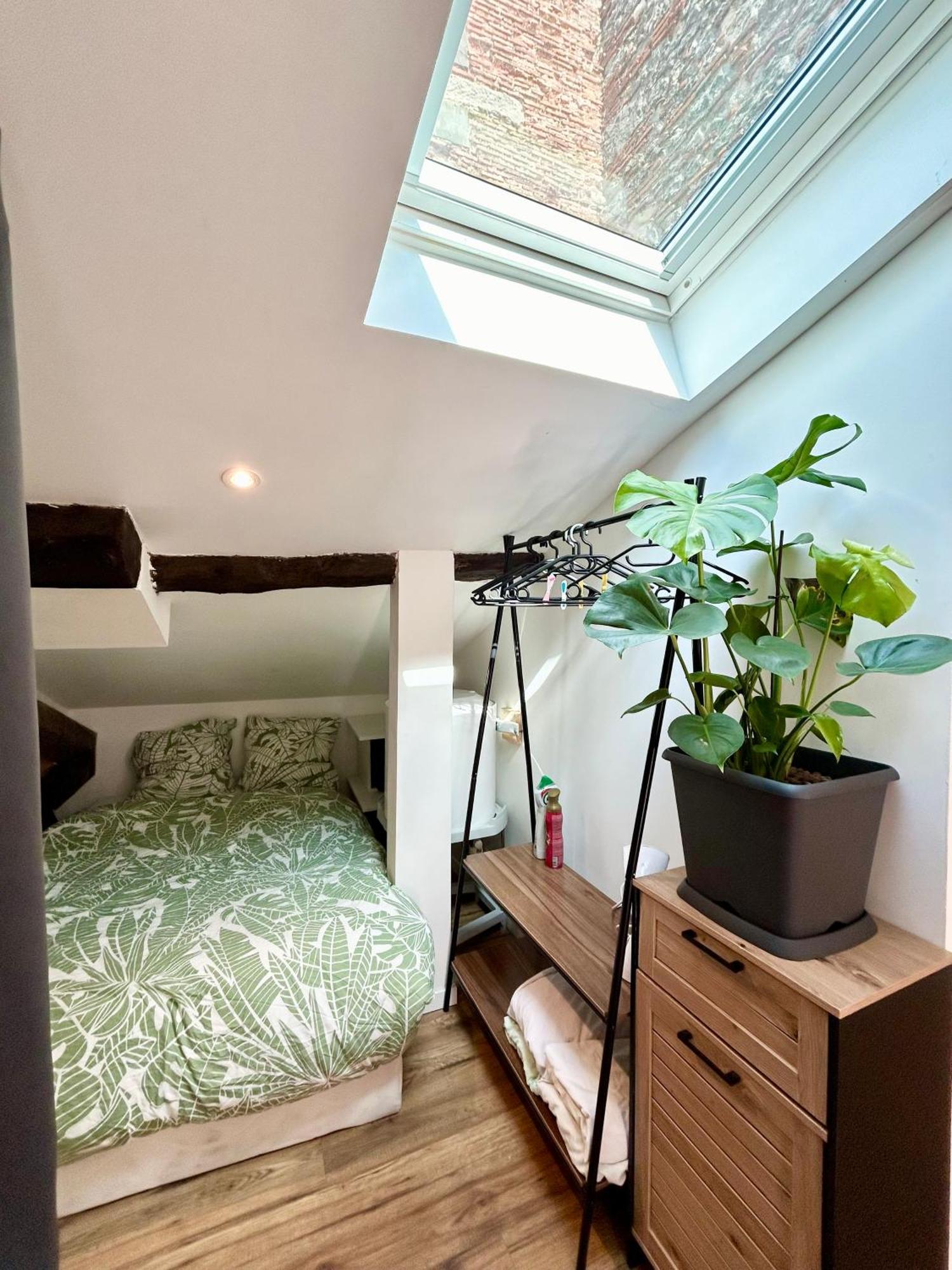 Loft Hortensia Climatise Hyper Centre Castres Castres (Tarn) Exterior photo