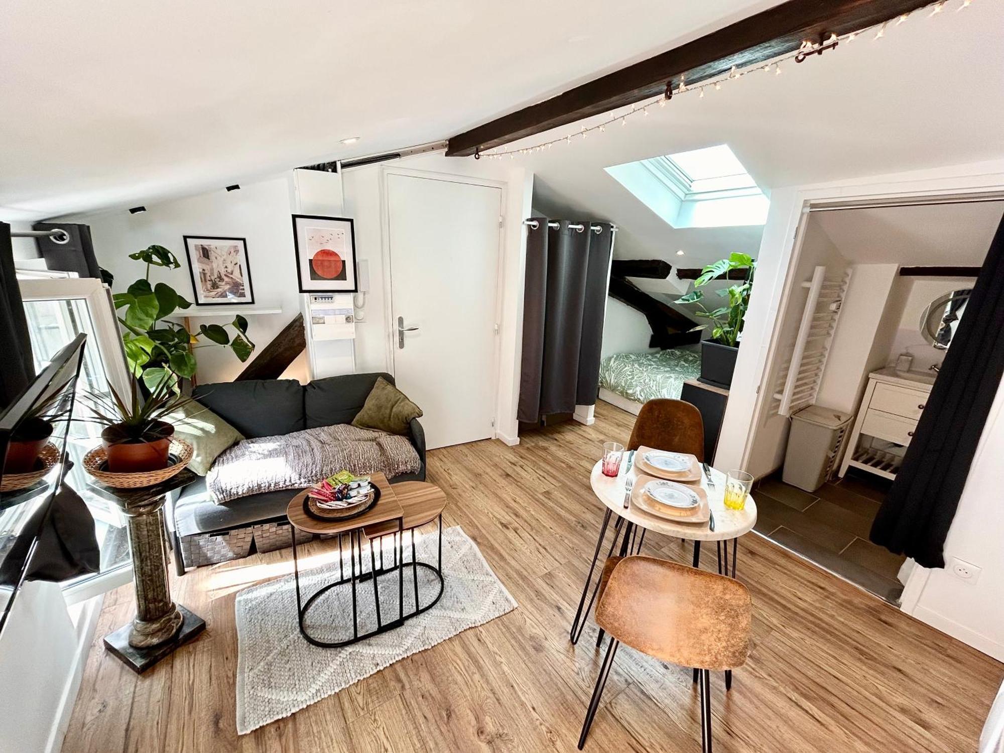 Loft Hortensia Climatise Hyper Centre Castres Castres (Tarn) Exterior photo